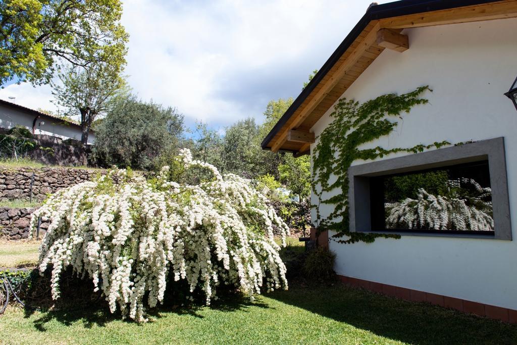 Domus Verdiana Ragalna Cameră foto